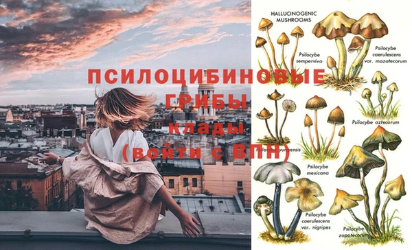 кокс Абаза