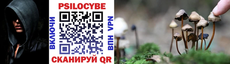 Псилоцибиновые грибы GOLDEN TEACHER Исилькуль