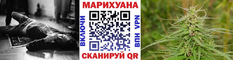 Канабис индика Исилькуль